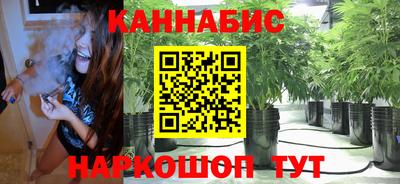 mdpv Ижевск