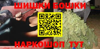 крисы Будённовск