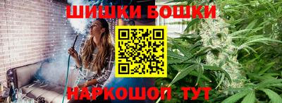 крисы Будённовск