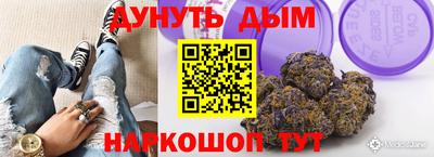 крисы Будённовск