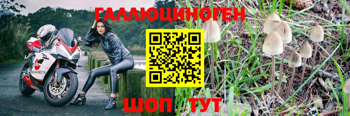 Лесной  ГАШИШ  МАРИХУАНА  А ПВП СК   MDMA  Вход с VPN  Меф кристаллы  КОКАИН 